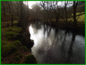 Author photo, Afon Dulas, Corris, Wales